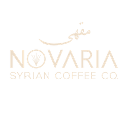 Nouvaria Logo